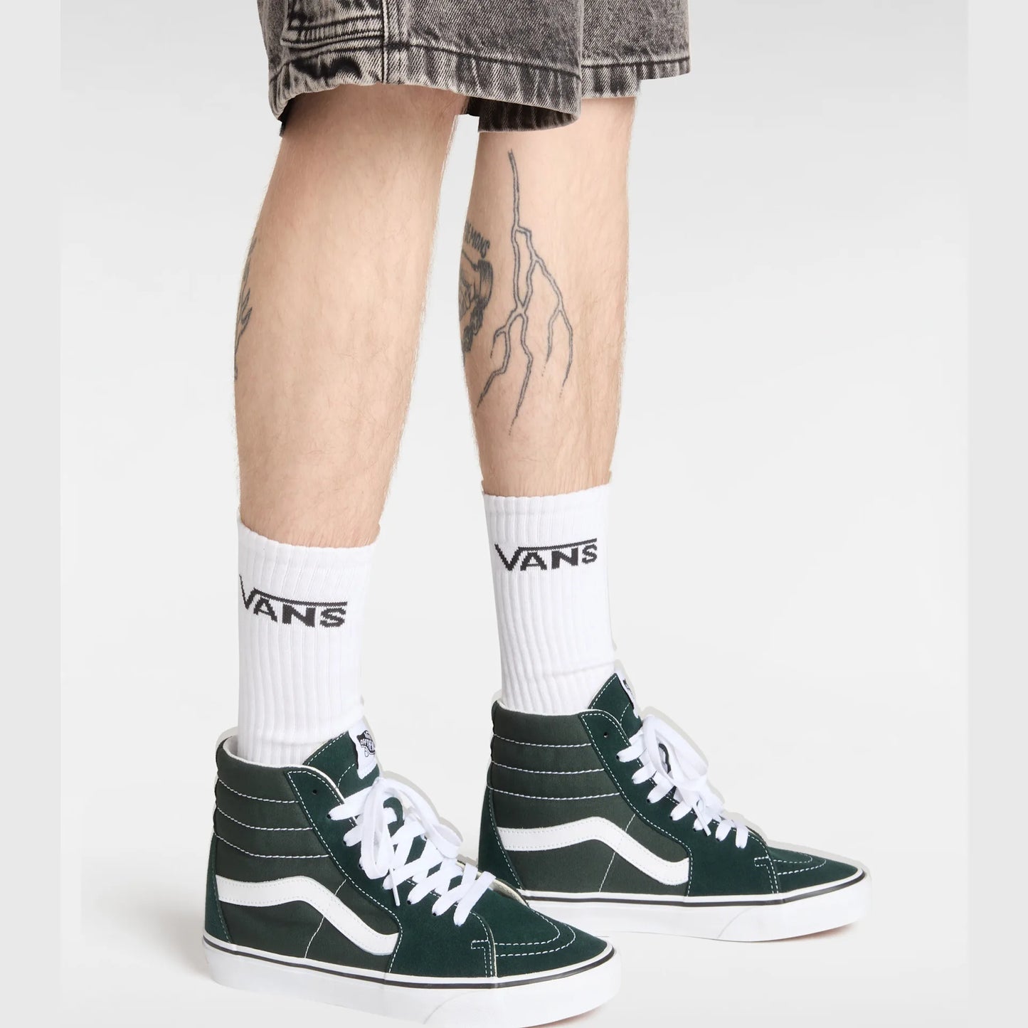 Vans Sk8-Hi Color Theory Scarab_VN000D80PRM1